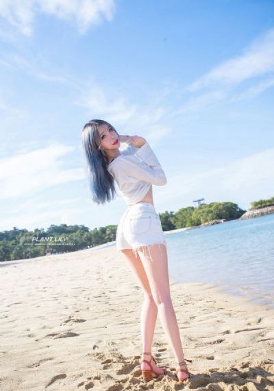 百度送花肖战