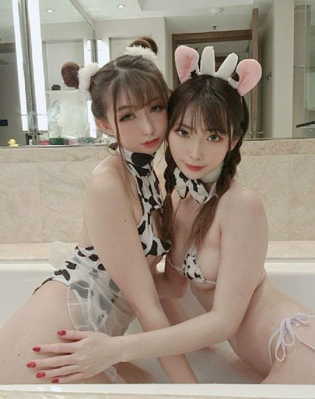 录取通知书查询